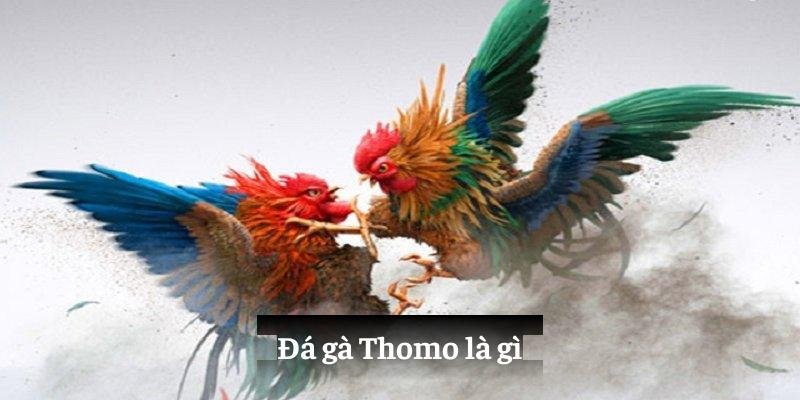 Cái nhìn tổng quan về tụ điểm đá gà Campuchia 99OK