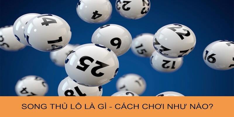 Đôi nét về song thủ lô