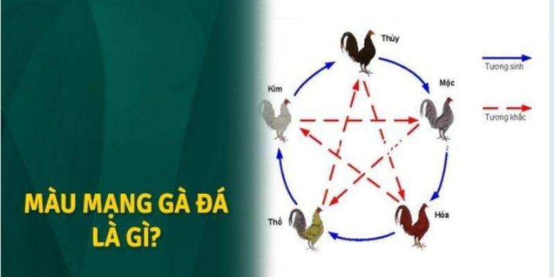 Giải thích ý nghĩa cho cách gọi màu mạng gà đá