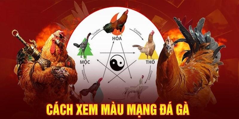 Màu mạng gà đá gà chọi sắc nâu đủ điều kiện để tham chiến