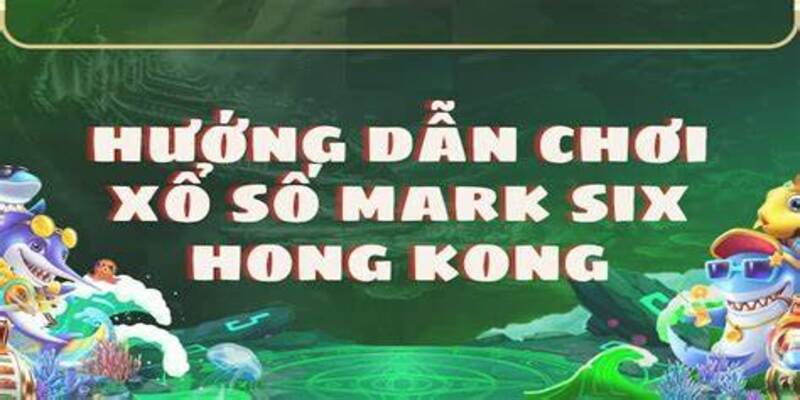 Cách chơi đơn giản nhất cho người mới